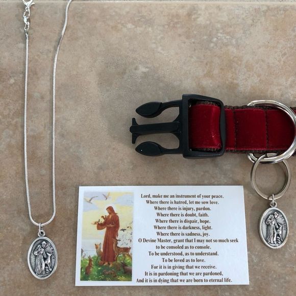 ST FRANCIS MEDAL WITH STERLING NECKLACE & CARDS PET CHARITY - Picture 1 of 9